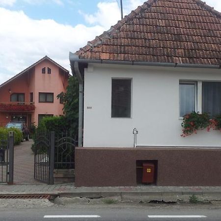 Casuta Andrey & Dan Villa Mihai Viteazu  Bagian luar foto