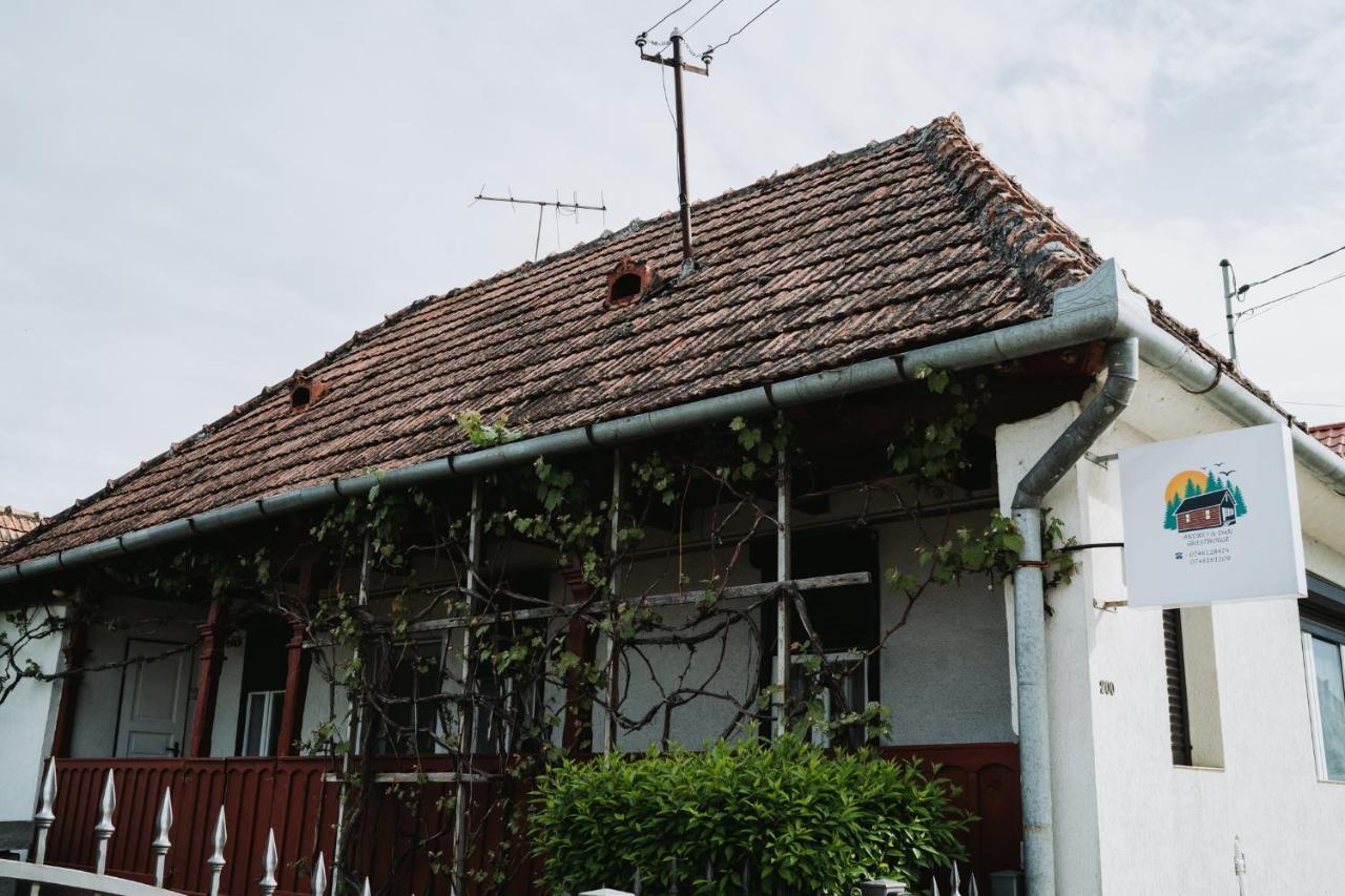 Casuta Andrey & Dan Villa Mihai Viteazu  Bagian luar foto