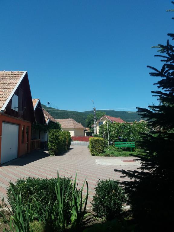 Casuta Andrey & Dan Villa Mihai Viteazu  Bagian luar foto